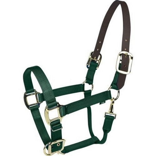 Gatsby, Gatsby Gold Nylon Breakaway Halter, HORSE,Hunter Green
