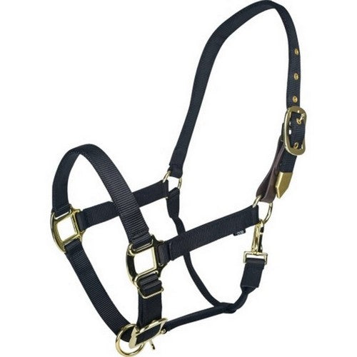 Gatsby, Gatsby Gold Adjustable Safety Breakaway Halter, COB,Black