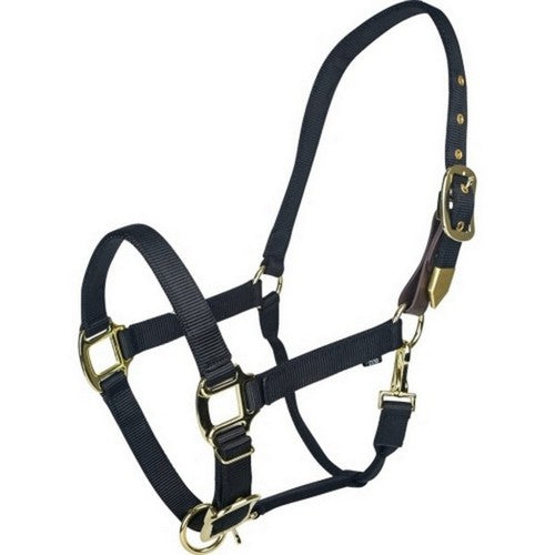 Gatsby, Gatsby Gold Adjustable Safety Breakaway Halter, OVERSIZE,Black