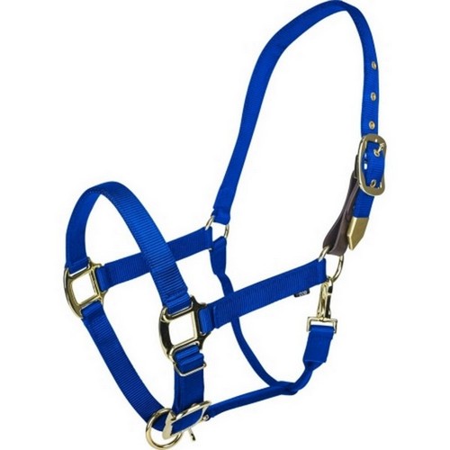 Gatsby Gold Adjustable Safety Breakaway Halter Pony,Blue by Gatsby