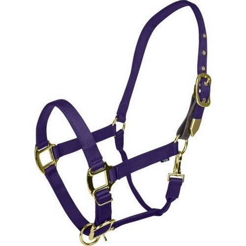 Gatsby, Gatsby Gold Adjustable Safety Breakaway Halter, Pony,Purple