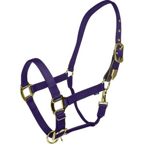 Gatsby, Gatsby Gold Adjustable Safety Breakaway Halter, HORSE,Purple