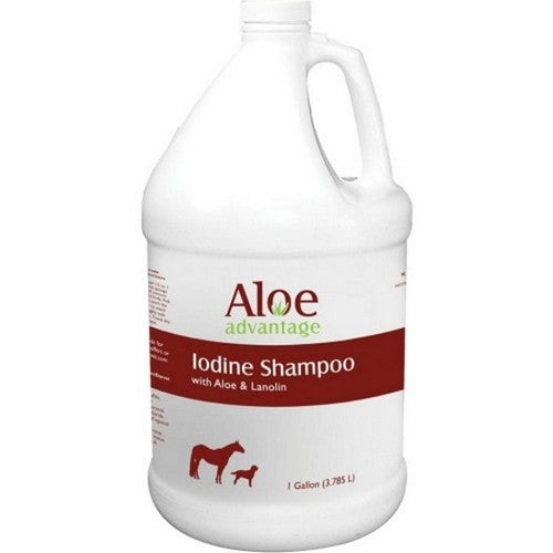 Aloe Advantage, Aloe Advantage Iodine Shampoo, 1 Gallon