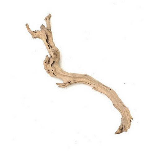 Sublime Vines, Sublime Vines Sandblasted Grapevine Decor, 1 Each / MD