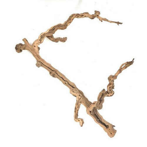 Sublime Vines, Sublime Vines Sandblasted Grapevine Decor, 1 Each / XL