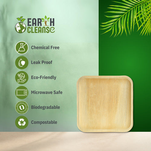 Areca Palm Leaf Square Plates 10-Inch Pack of 25 by Earth Cleanse