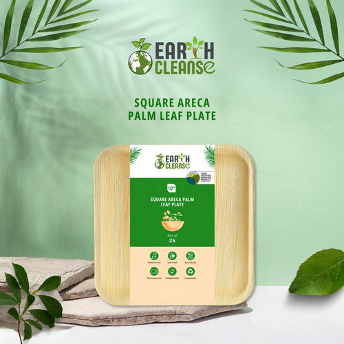 Areca Palm Leaf Square Plates 10-Inch Pack of 25 by Earth Cleanse