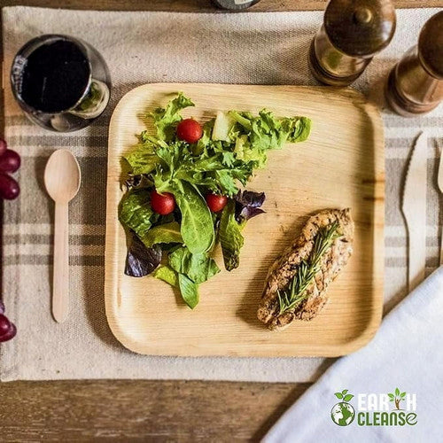 Areca Palm Leaf Square Plates 8-Inch Pack of 25 by Earth Cleanse