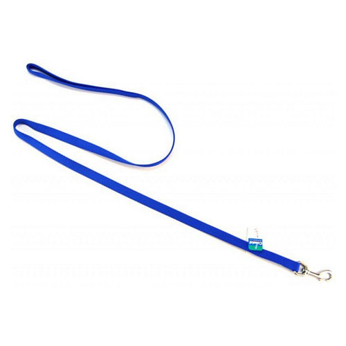 Nylon Lead - Blue 4' Long x 5/8" Wide by Coastal Pet