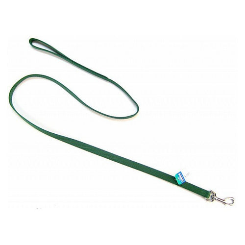 Nylon Lead - Hunter Green 4' Long x 5/8" Wide by Coastal Pet