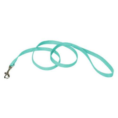 Single-ply Teal Nylon Dog Lead 4'L x 5/8"W by Coastal Pet