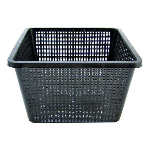 Square Plant Pond Basket 10"L x 10"W x 6"H by Beckett