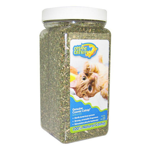 Cosmic Catnip Cosmic Catnip 3.5 oz Cup by OurPets