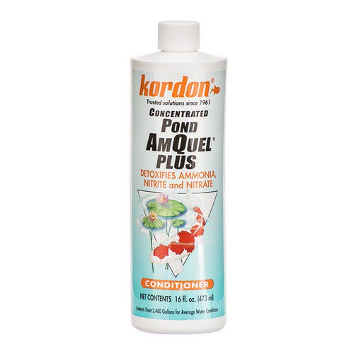 Concentrated Pond AmQuel + 16 oz by Kordon