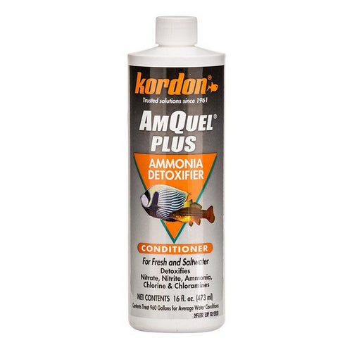 AmQuel + Water Conditioner 16 oz by Kordon