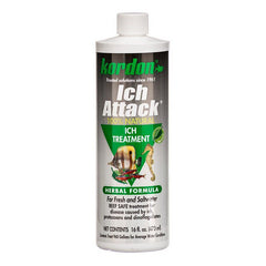 Ich Attack 16 oz by Kordon