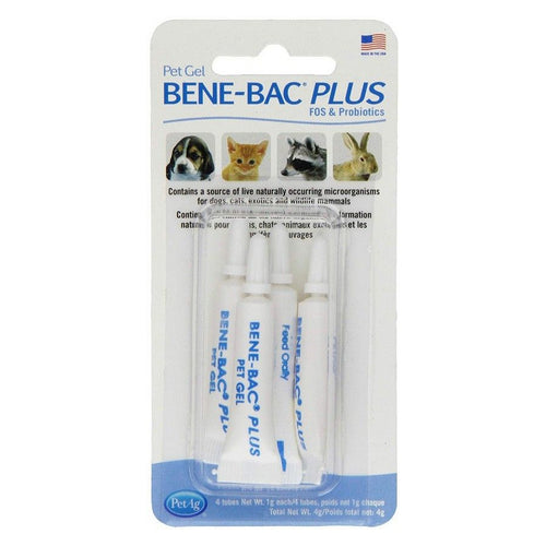 Bene-Bac Plus FOS & Probiotics Gel 4 Grams (4 x 1 Gram Tubes) by PetAg