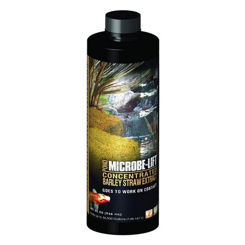 Microbe-Lift Barley Straw Concentrated Extract 32 oz by Microbe-Lift