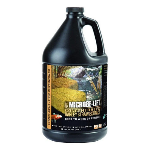 Microbe-Lift Barley Straw Concentrated Extract 1 gallon by Microbe-Lift