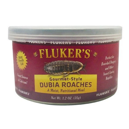 Flukers Gourmet Style Dubia Roaches 1.2 oz by Flukers