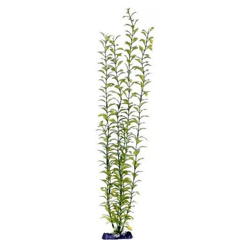 Penn Plax Sinkers Blooming Ludwigia Aquarium Plant Green 13" tall by Penn Plax