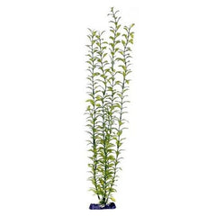 Penn Plax Sinkers Blooming Ludwigia Aquarium Plant Green 13" tall by Penn Plax