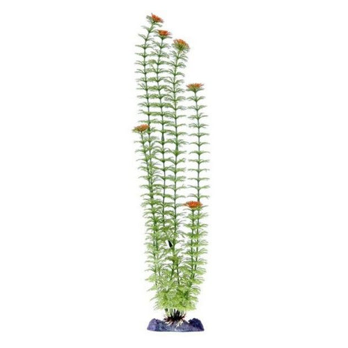 Penn Plax Sinkers Ambulia Aquarium Plant Green 24" tall by Penn Plax