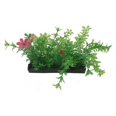 Penn Plax Green and Pink Bunch Plants Medium 1 count by Penn Plax