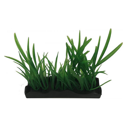 Penn Plax Harigrass Bunch Plant Medium 1 count by Penn Plax