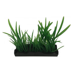 Penn Plax Harigrass Bunch Plant Medium 1 count by Penn Plax