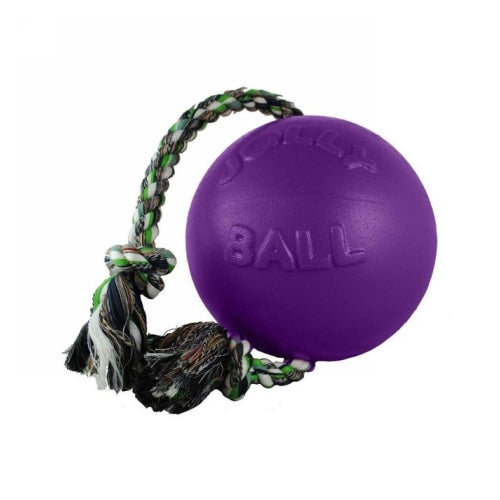 Jolly Romp-N-Roll Dog Toy 6" Purple 1 Count by Jolly Pets