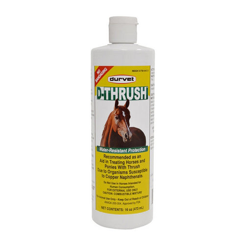 Dthrush For Horses And Ponies 16 Oz by Durvet