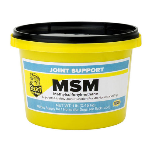 Msm Joint Supplement For Horses 1 Lb by Select The Best