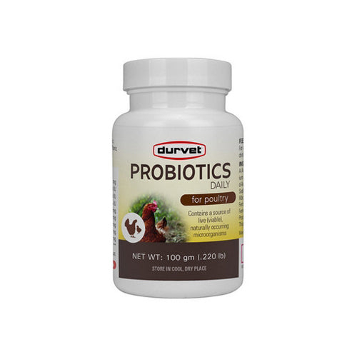 Probiotics Daily Poultry Supplement 100 Grams by Durvet