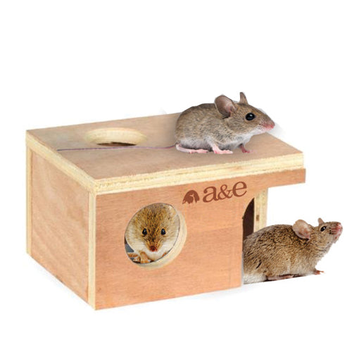 A & E Cages Small Animal Hut Mouse, Wood, 1 Each/5 1/4 in X 3 7/8 in X 3 in by A&E Cage Company peta2z