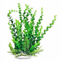 Aquatop Bacopa Aquarium Plant w/Weighted Base Green, 1 Each/16 in by Aquatop peta2z