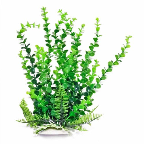 Aquatop Bacopa Aquarium Plant w/Weighted Base Green, 1 Each/9 in by Aquatop peta2z