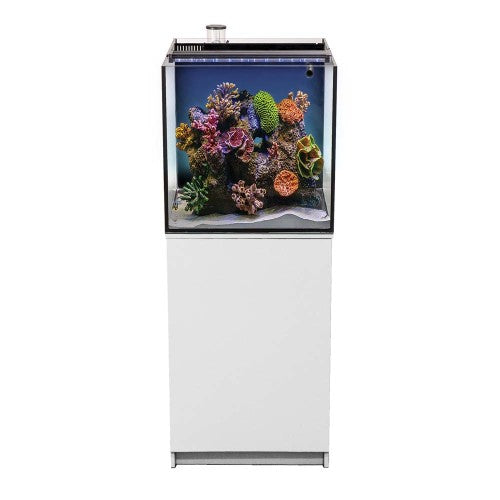 Aquatop Recife ECO Aquarium Kit with Stand White, Clear, 1ea/24 Gallon by Aquatop peta2z