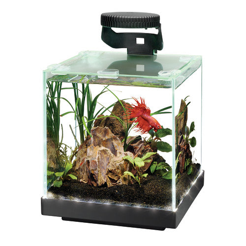 Aqueon Edgelit Rimless Cube Glass Aquariums 1 Each/Size 1 by Aqueon peta2z