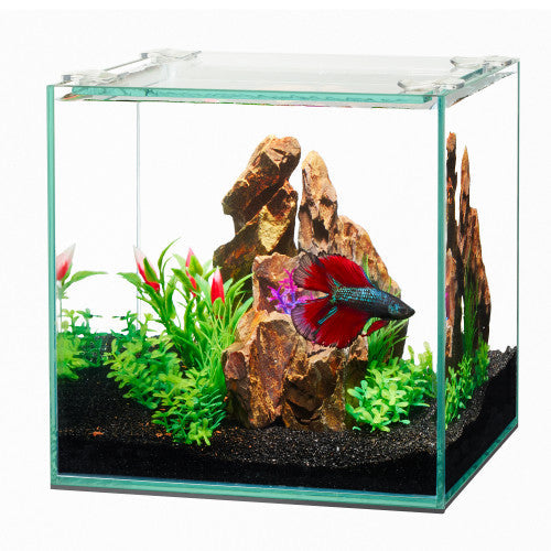 Aqueon Frameless Cube Aquarium 1 Each/1 by Aqueon peta2z