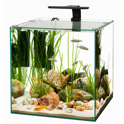 Aqueon Frameless Cube Aquarium 1 Each/14 by Aqueon peta2z