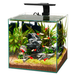 Aqueon Frameless Cube Aquarium 1 Each/6 by Aqueon peta2z