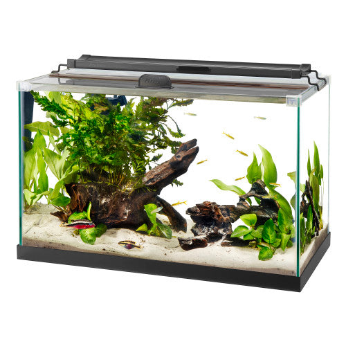 Aqueon Rimless Rectangle Aquarium 1 Each/10 by Aqueon peta2z