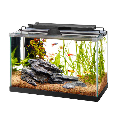 Aqueon Rimless Rectangle Aquarium 1 Each/5.5 by Aqueon peta2z