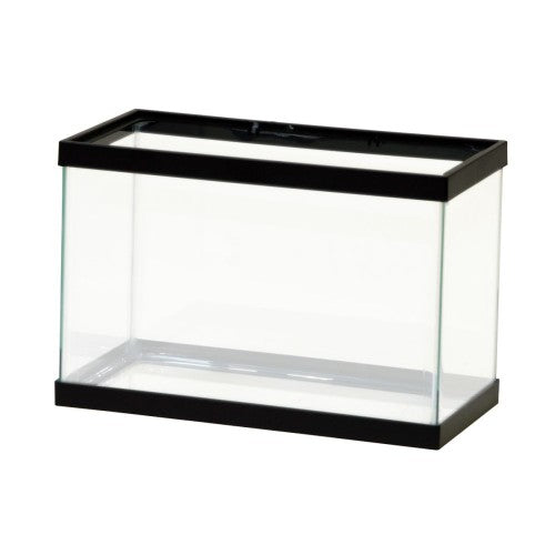 Aqueon Standard Glass Rectangle Aquarium Clear Silicone, Black, 1ea/2.5 Gallon by Aqueon peta2z