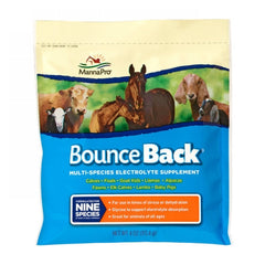 Bounce Back Multi-Species Electrolyte Supplement 4 Oz by Manna Pro peta2z