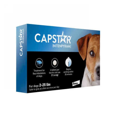 Capstar Flea Treatment for Dogs 2.25 Lbs by Elanco peta2z