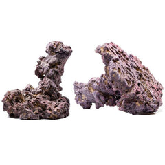 CaribSea LifeRock Shrooms Purple, Brown, 1 Each/12 in, 2 Pack by Caribsea peta2z