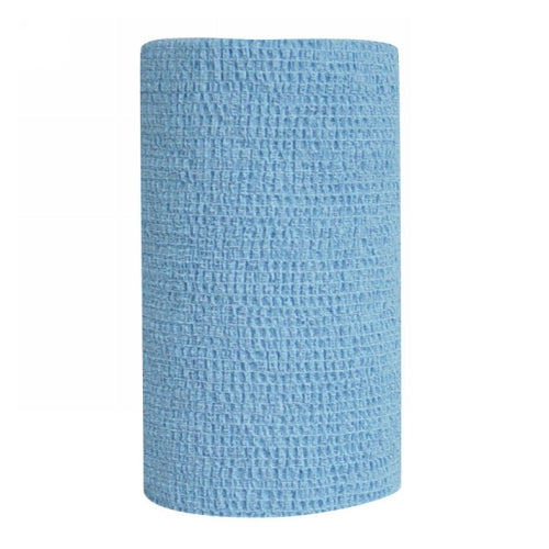 Co-Flex Self Adhesive Bandage Light Blue 1 Each by Andover peta2z