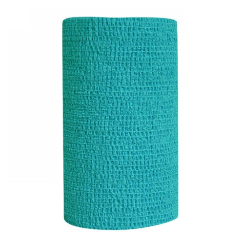 Co-Flex Self Adhesive Bandage Teal 1 Each by Andover peta2z